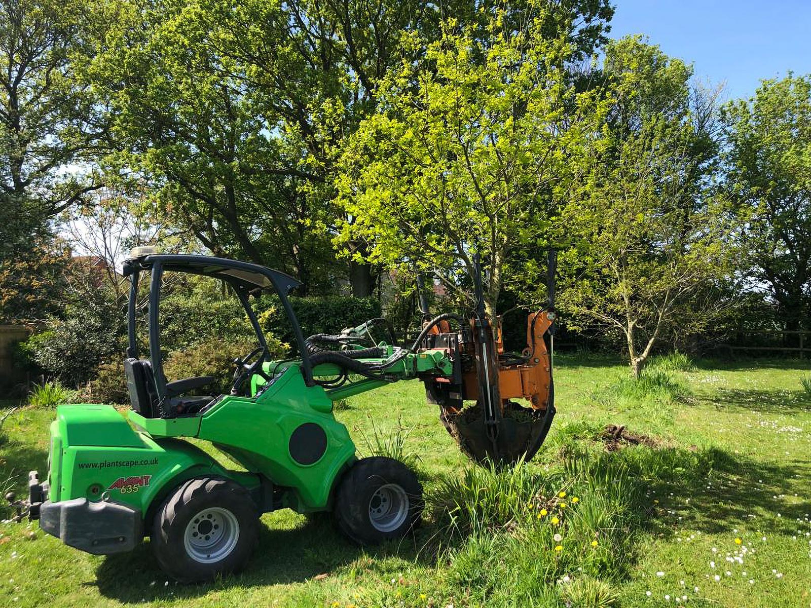 Tree Moving Services