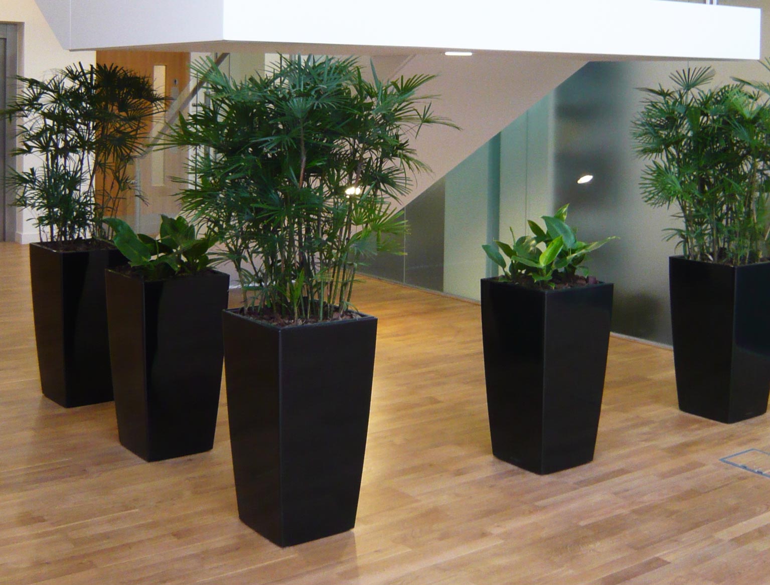 Artificial Plant Displays Hethersett