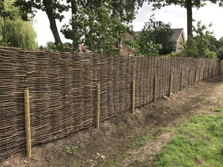 Willow fencing