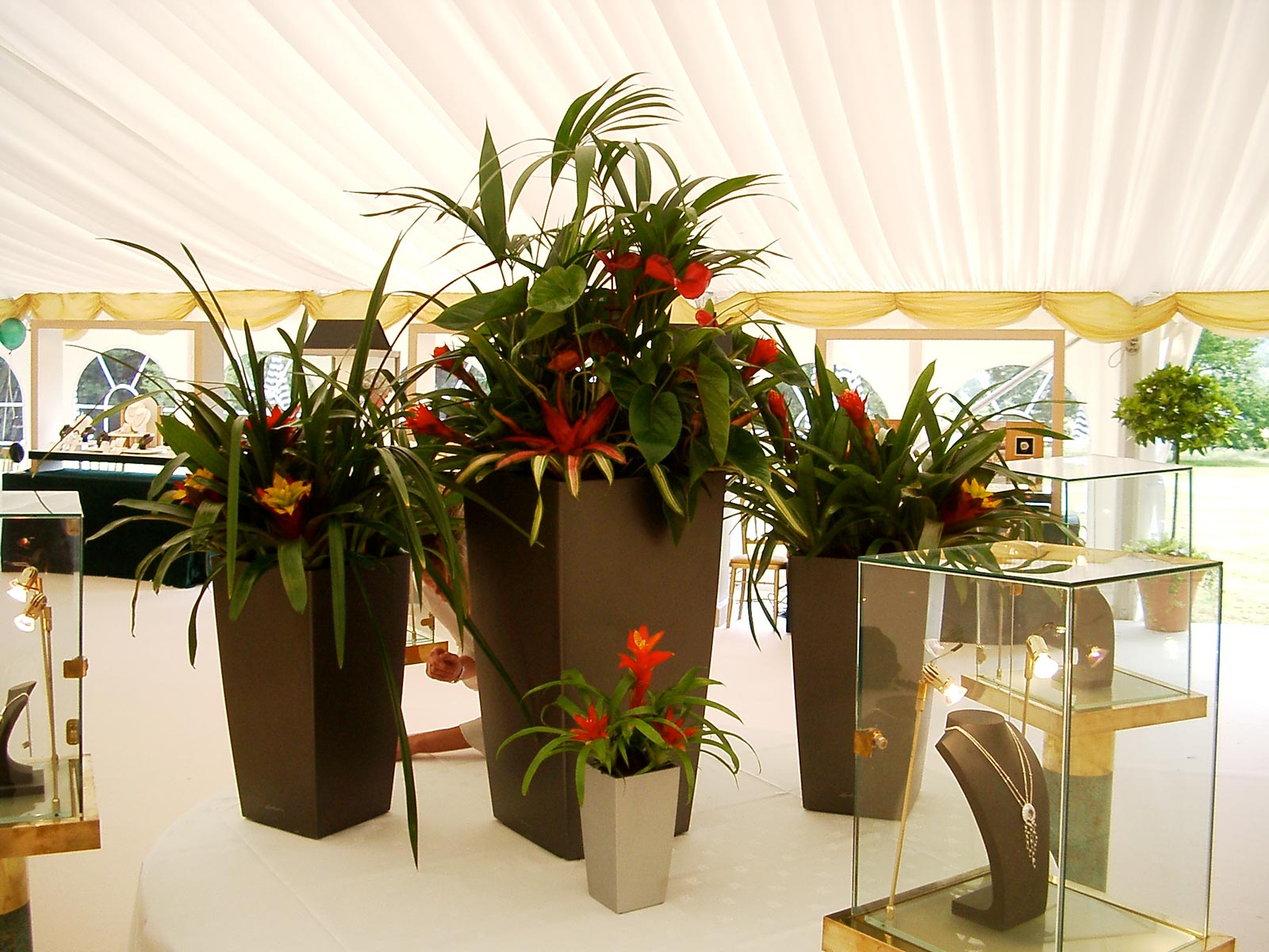 Interior Landscaping Services