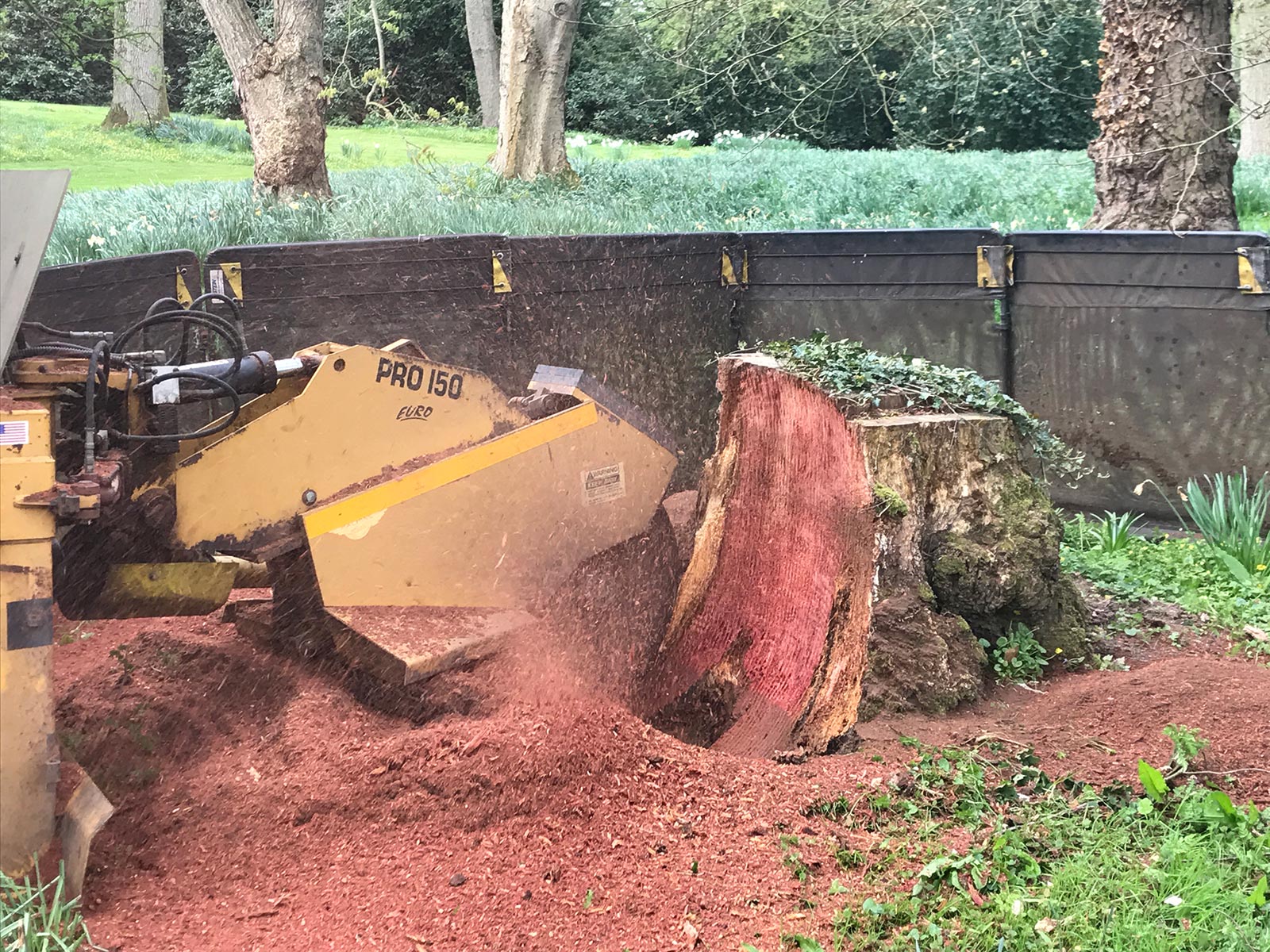 Professional Tree Stump Grinding Services