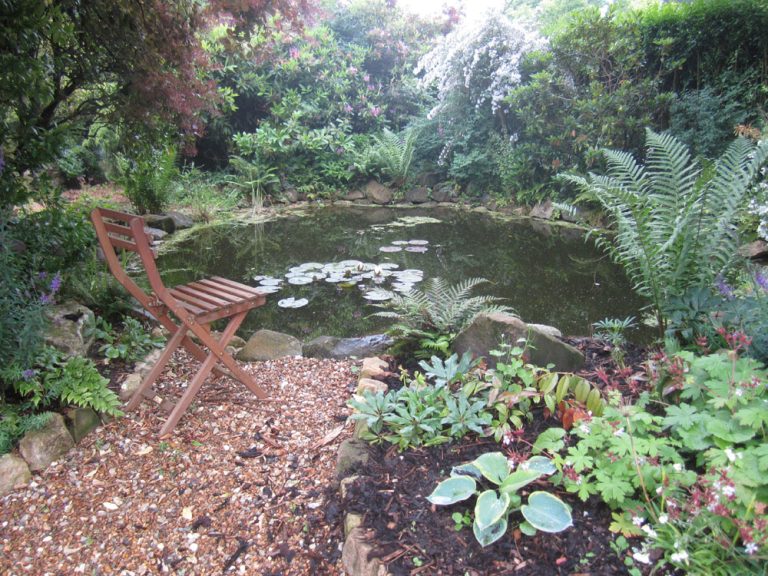 Chair by garden pond
