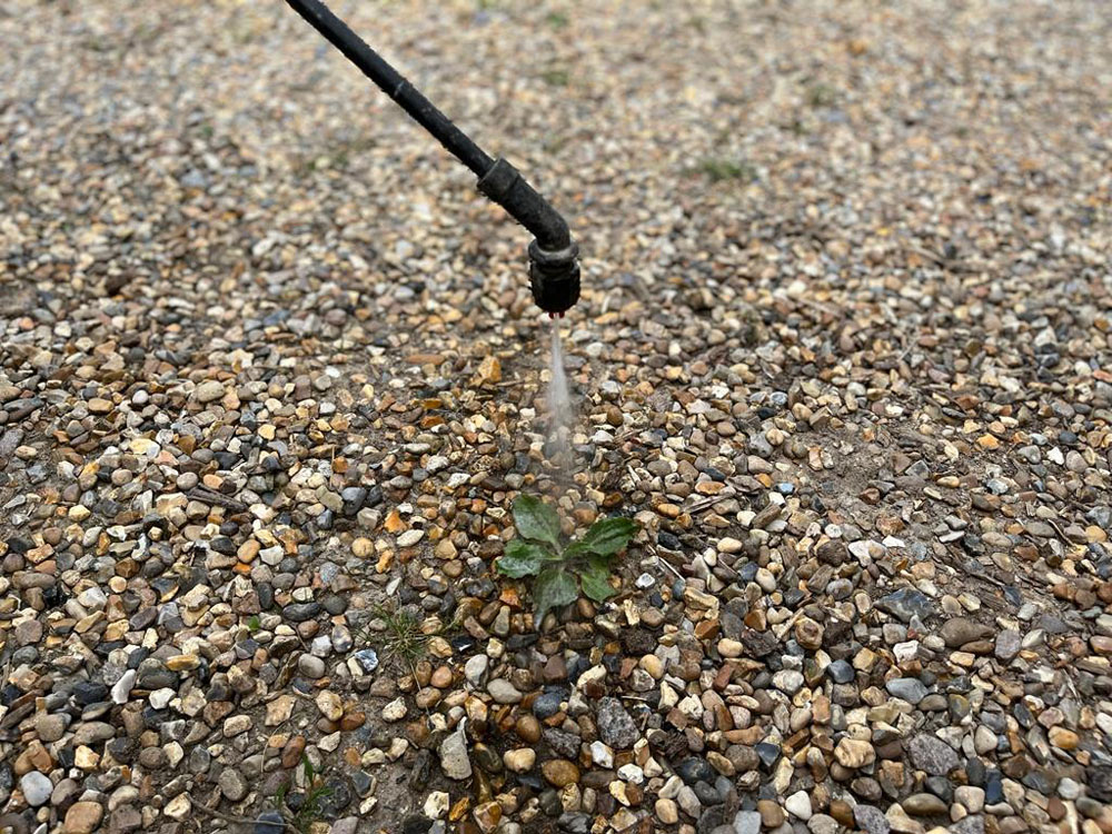 Weed Control for Hard Surfaces